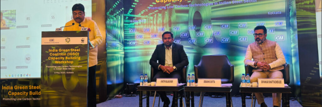 Capacity Building session on low carbon steel and energy efficiency