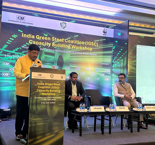 Capacity Building session on low carbon steel and energy efficiency