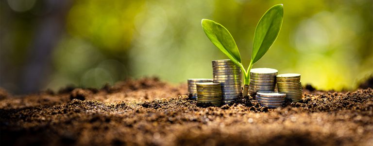 Forging the Transition: Financing India’s Green Steel Future