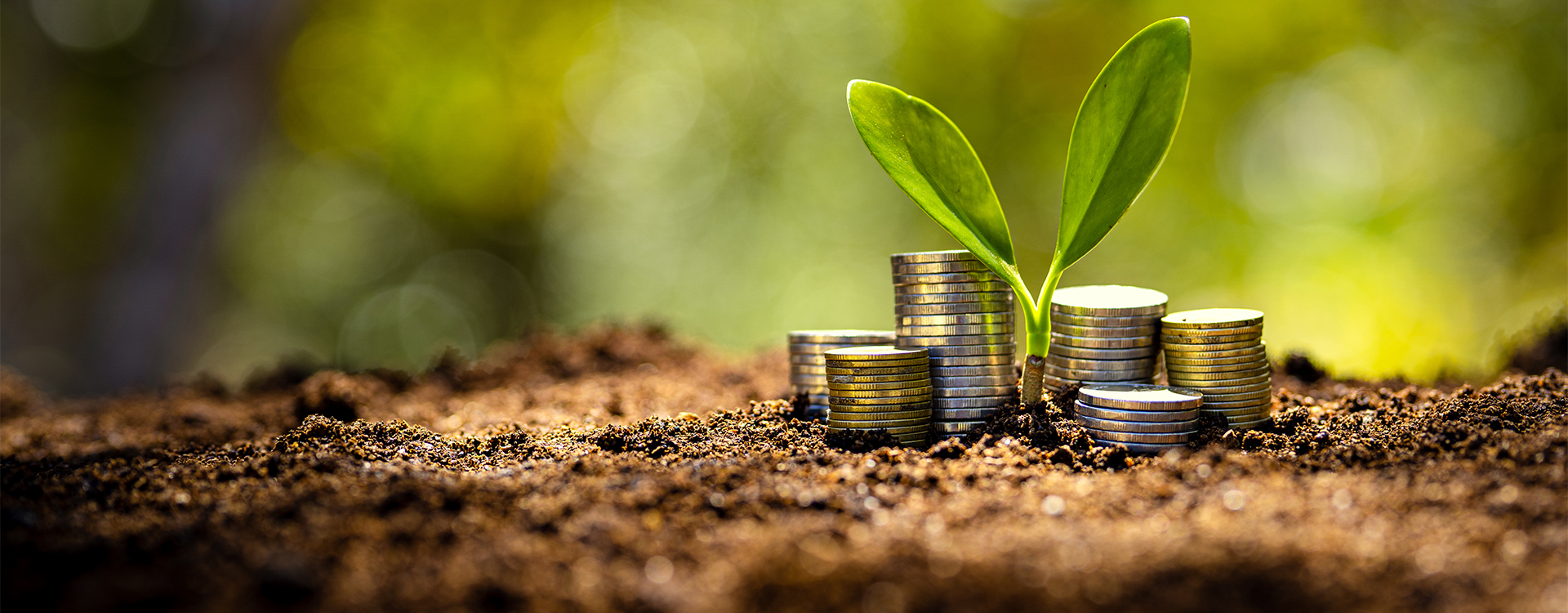 Forging the Transition: Financing India’s Green Steel Future
